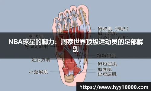 DB旗舰官网