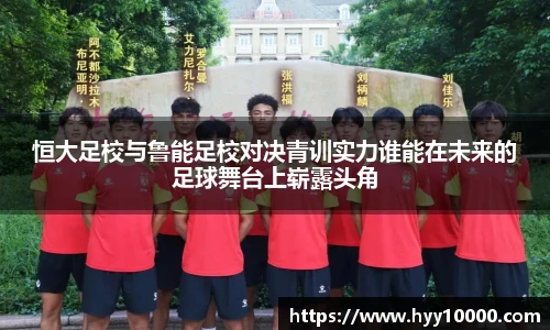 DB旗舰官网